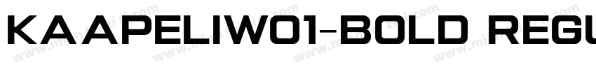 KaapeliW01-Bold Regu字体转换